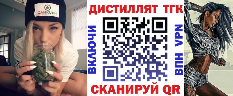 дарнет шоп  мега tor  Дистиллят ТГК гашишное масло  Заводоуковск 