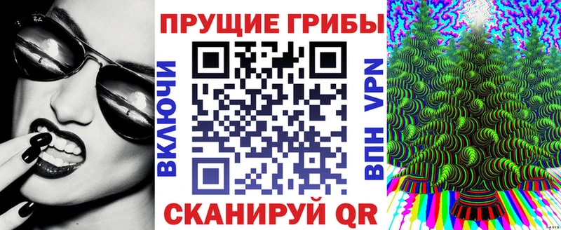 Псилоцибиновые грибы Magic Shrooms  Заводоуковск 