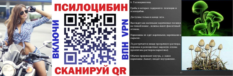 Псилоцибиновые грибы прущие грибы Заводоуковск